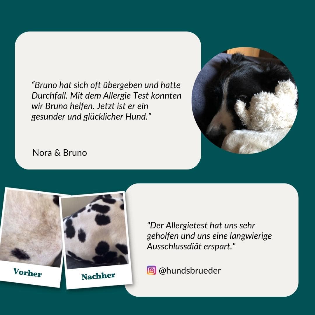 Allergietest Pro Hund