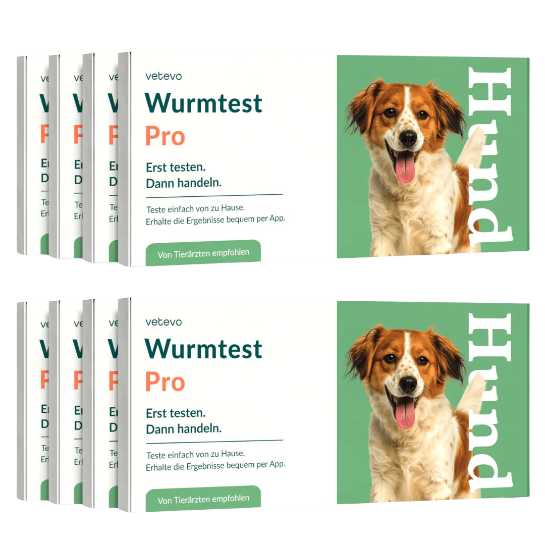 Wurmtest Pro Hund Sparpaket