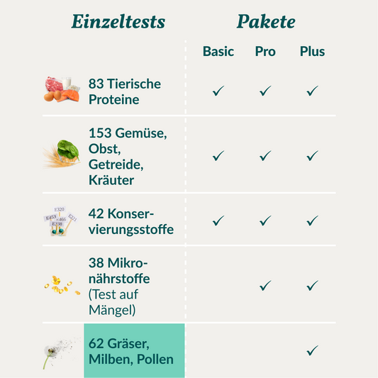 Allergietest - Gräser, Milben & Co. Hund