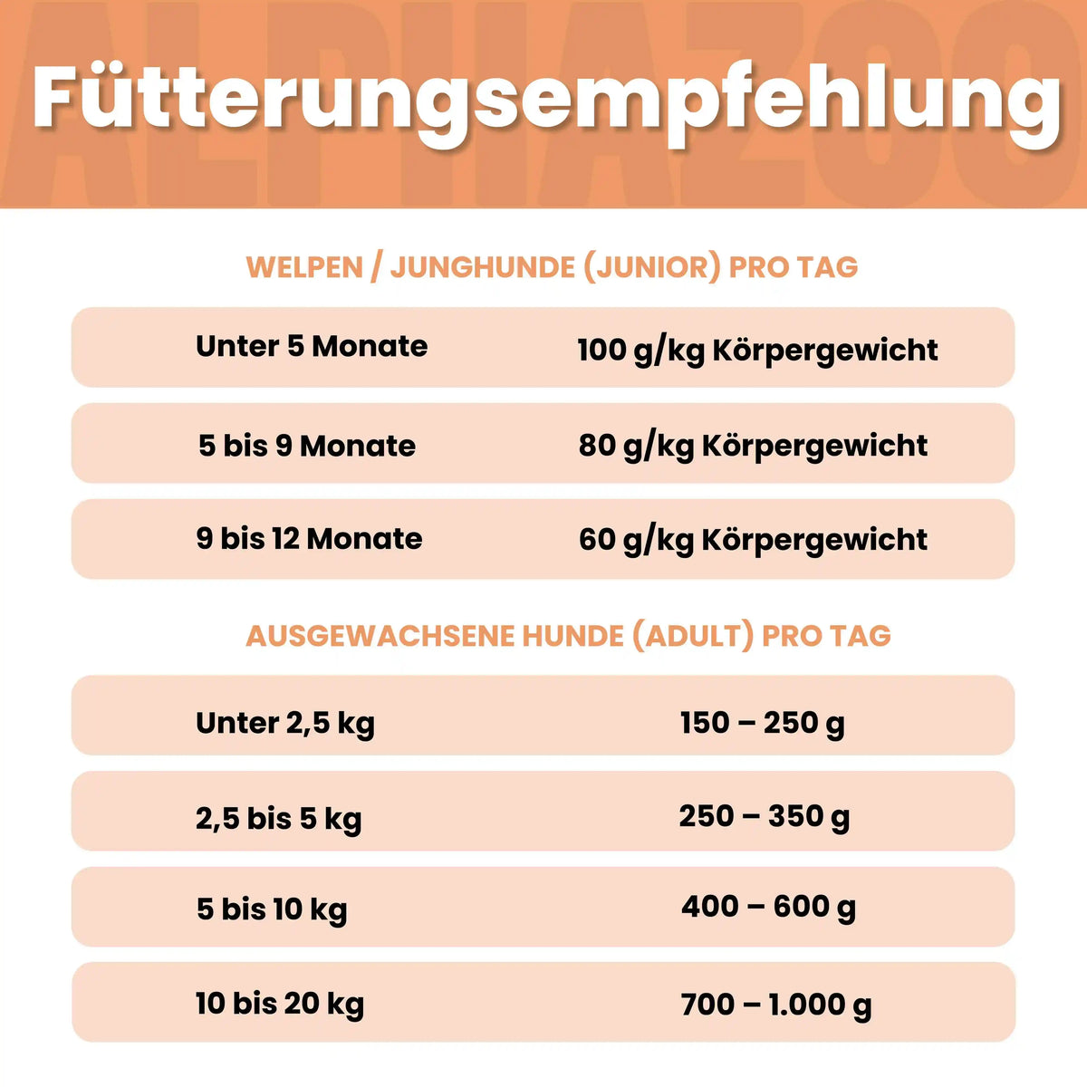 Wild + Rind Nassfutter für Adult Hunde