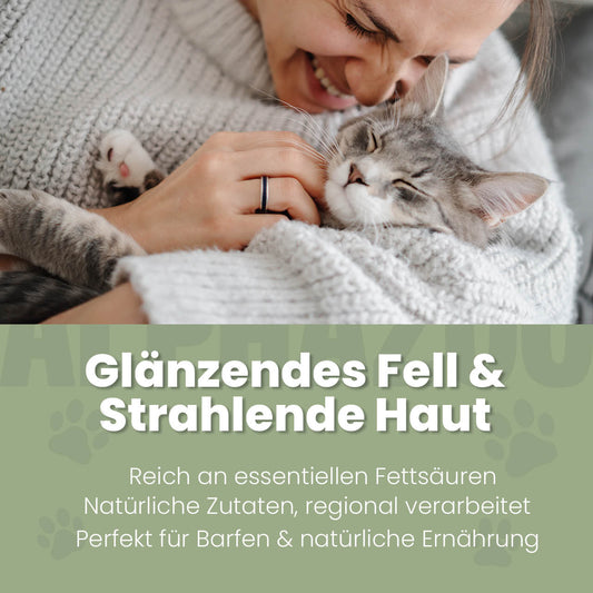 Hanföl für Katzen