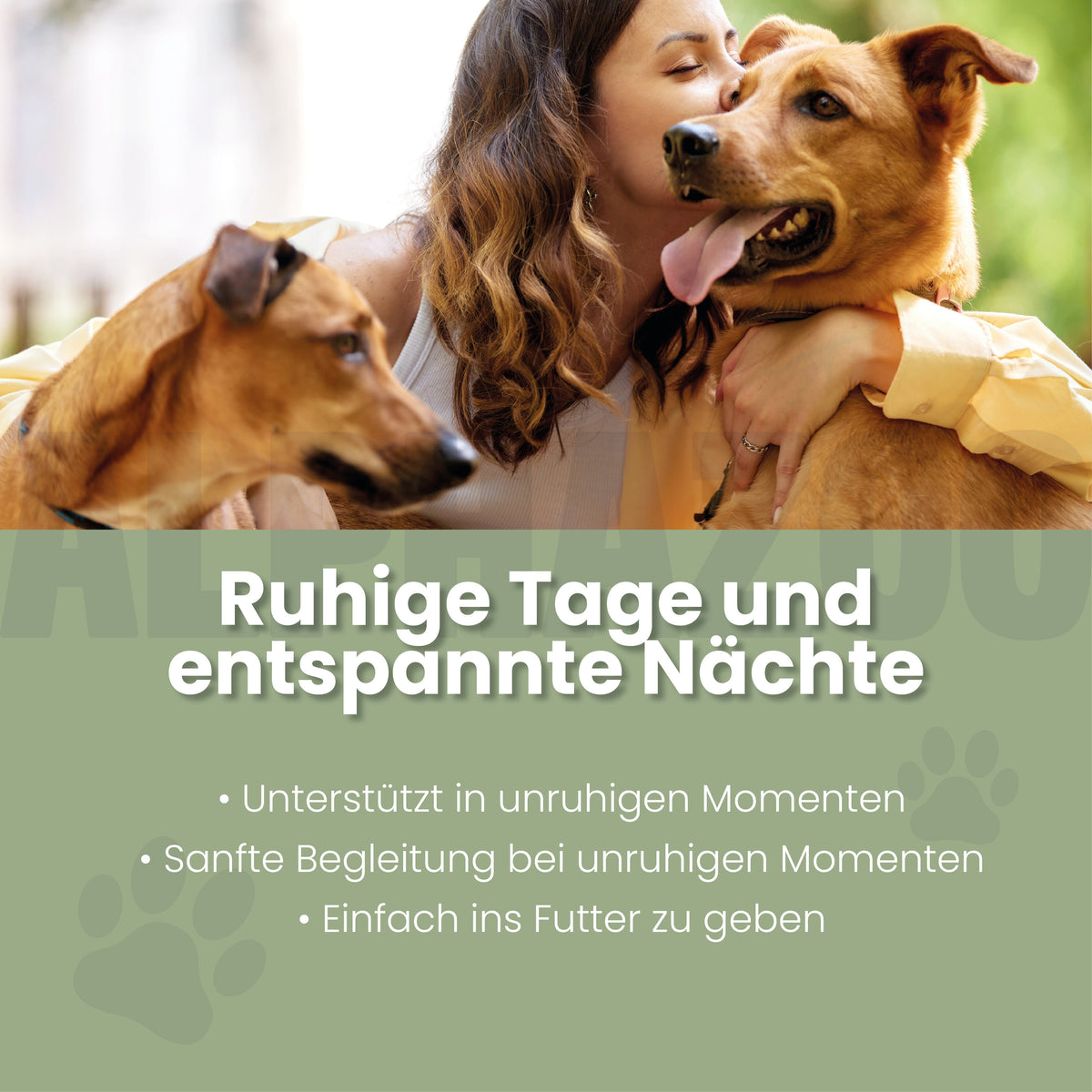 Seelenruhe Tabletten für Hunde