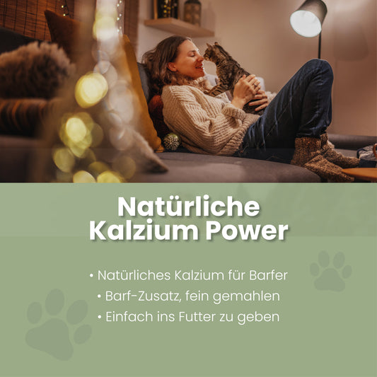 Eierschalenpulver für Katzen