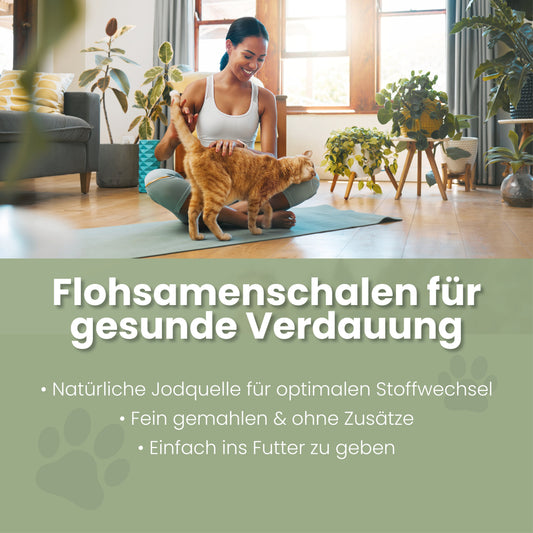 Flohsamenschalen für Katzen
