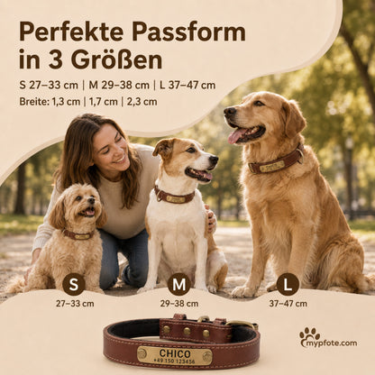Hundehalsband mit Namen auf Messingschild aus hochwertigem Leder, Innenpolsterung aus Neopren, 2 massive D-Ringe