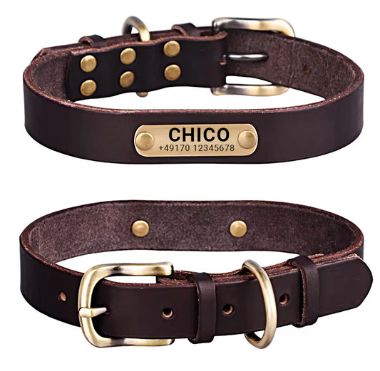 Echtleder Hundehalsband mit Messingschnalle in vier Farben und gratis Gravur Name und Telefon
