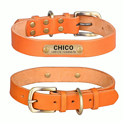 Echtleder Hundehalsband mit Messingschnalle in vier Farben und gratis Gravur Name und Telefon