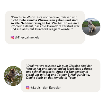 Wurmtest Plus Hund