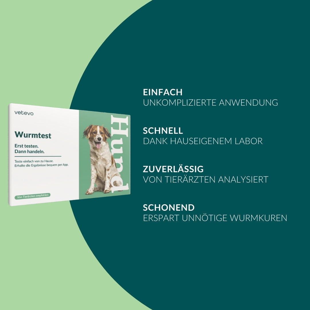Wurmtest Basic Hund