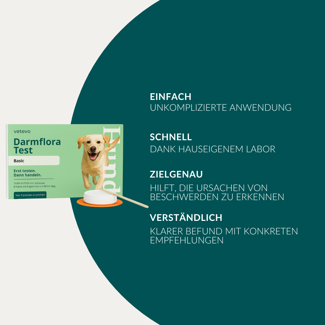 Darmflora Test Hund