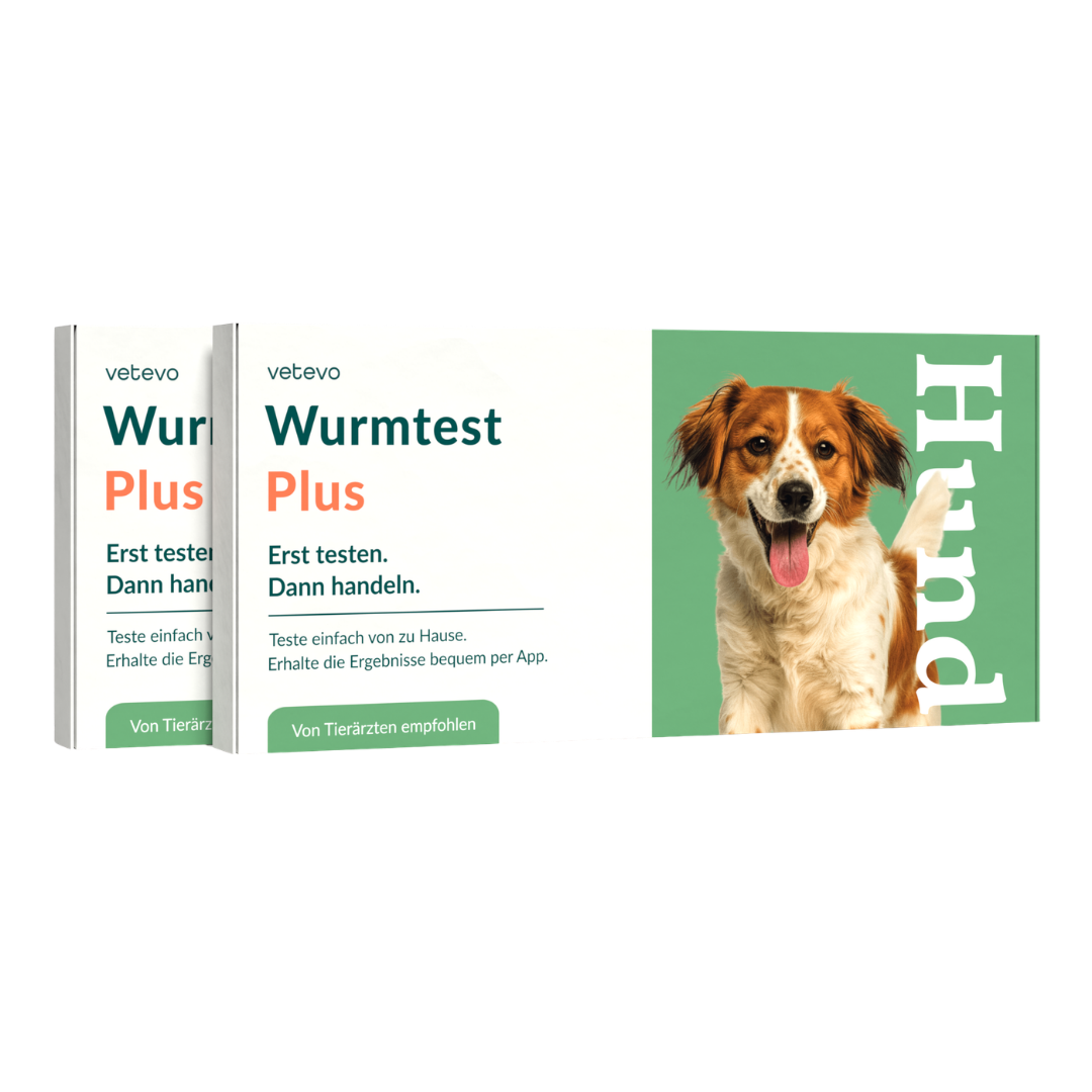 Wurmtest Plus Hund