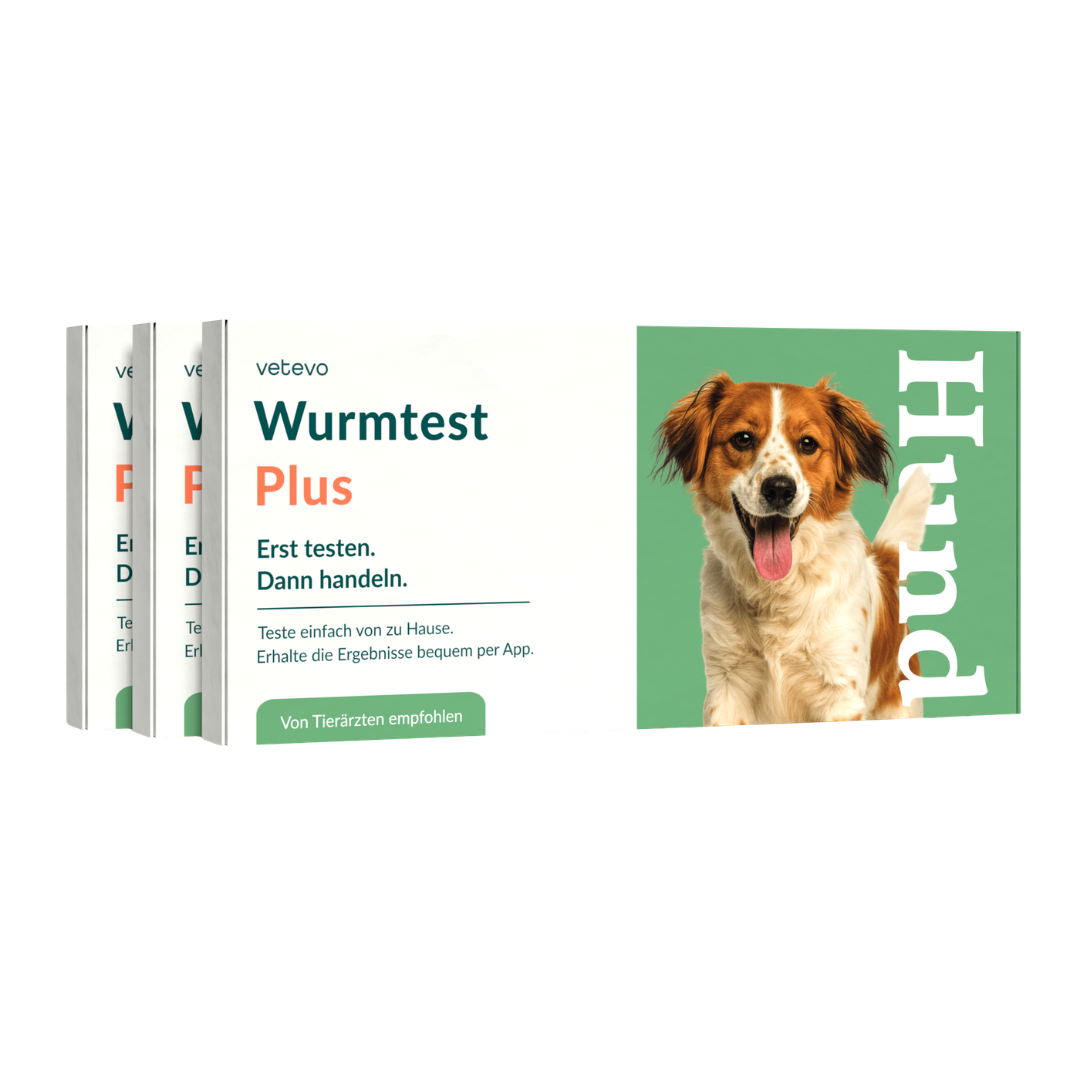 Wurmtest Plus Hund