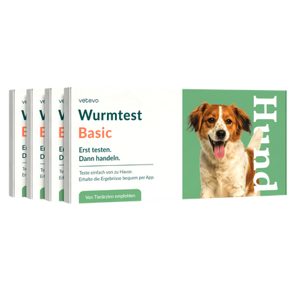Wurmtest Basic Hund