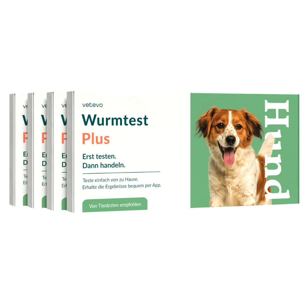 Wurmtest Plus Hund