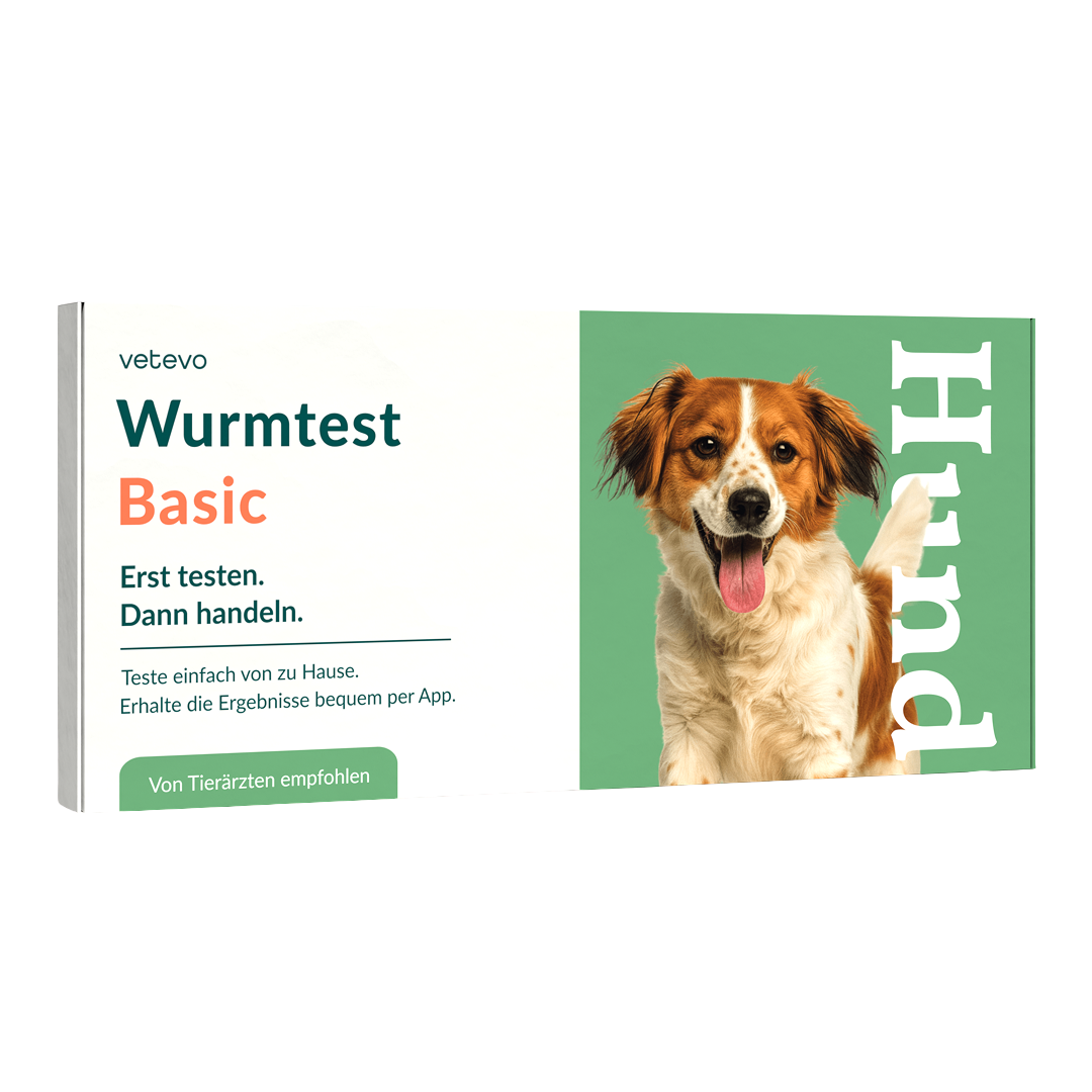 Wurmtest Basic Hund
