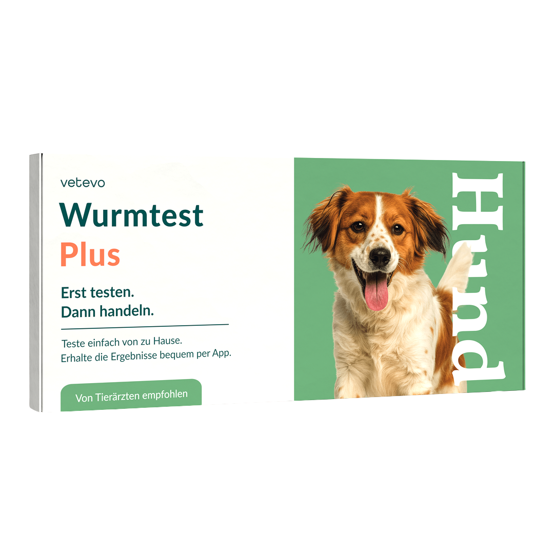 Wurmtest Plus Hund