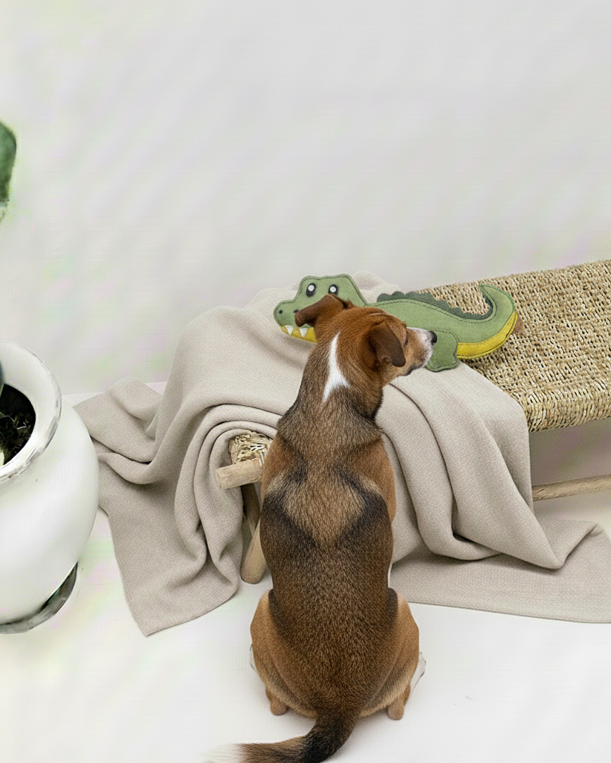 BUDDY. Hundespielzeug aus Leder "großes Krokodil"