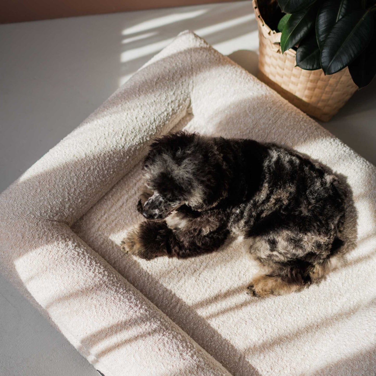 Hundebett Barklay Größe M mit Bouclébezug