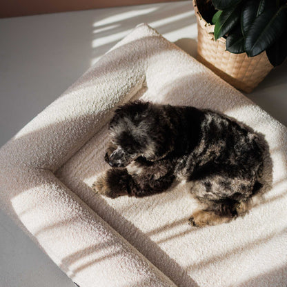 Hundebett Barklay Größe M mit Bouclébezug