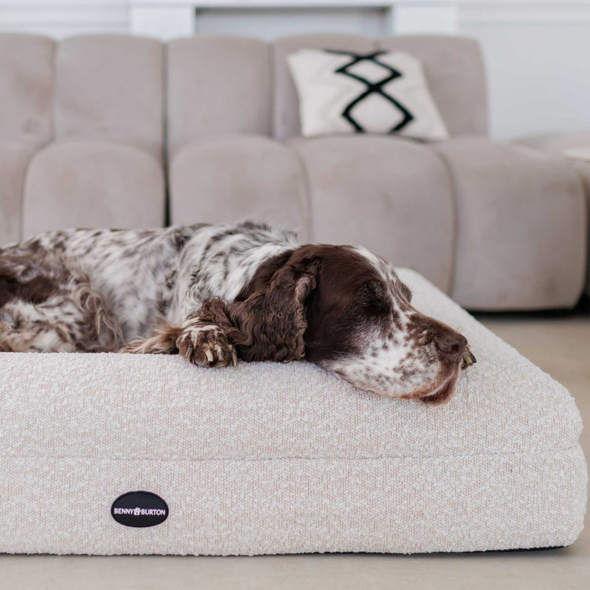 Hundebett Barklay Größe M mit Bouclébezug