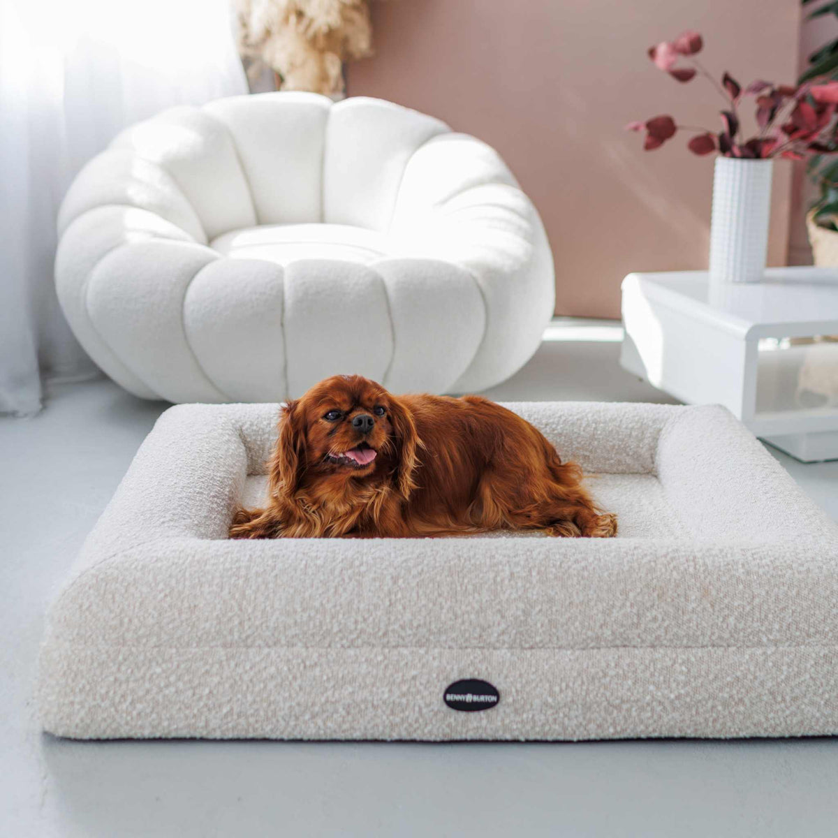 Hundebett Barklay Größe XS mit Bouclébezug