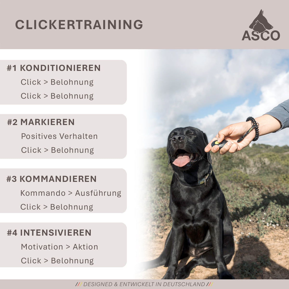 ASCO ClickStick - Target Stick mit abnehmbarem Premium Clicker - Target Stab für Hunde Katzen Clickertraining - Targetstick ausziehbar mit extra Klicker - Targetstab für Target-Training