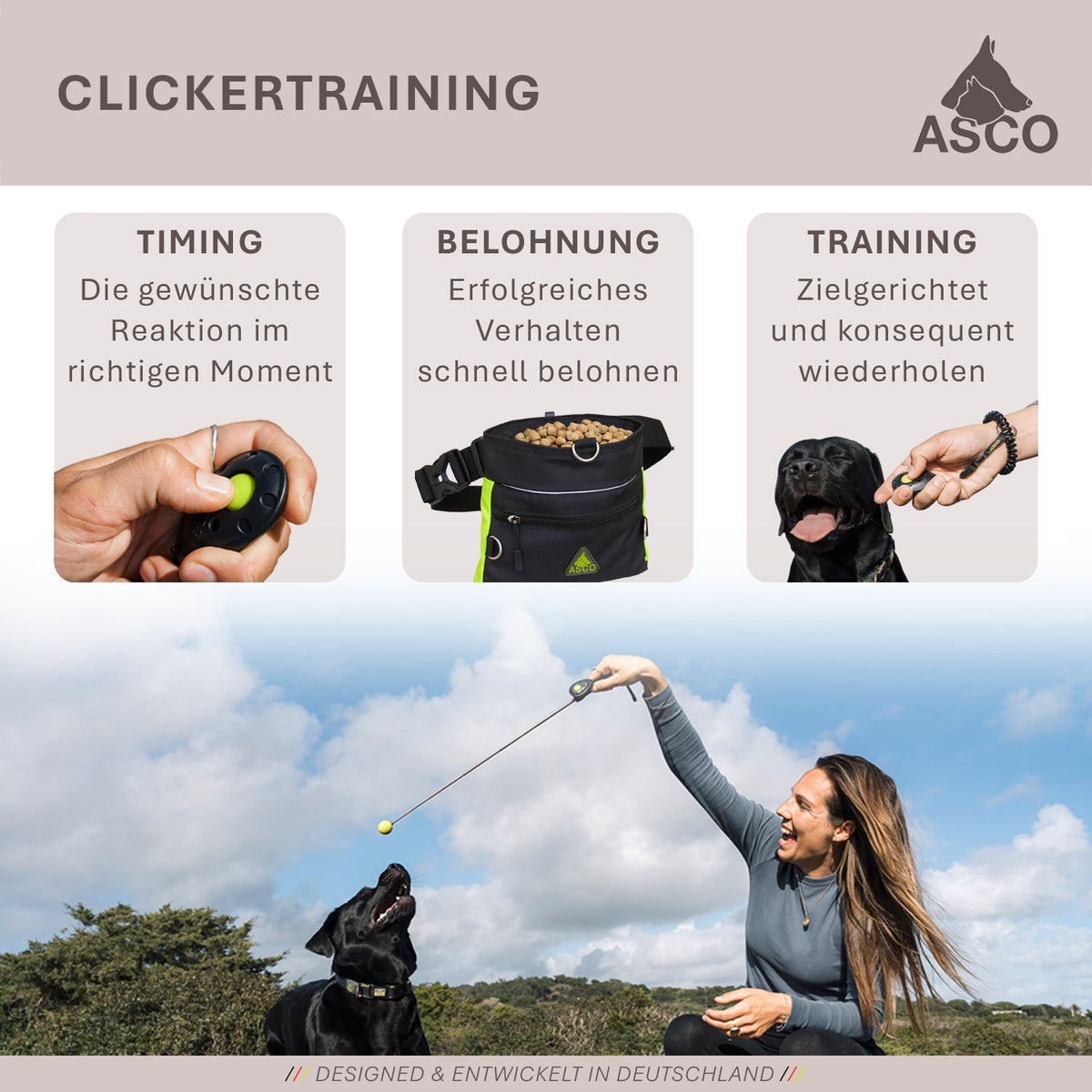 ASCO Finger Clicker – Clickertraining Premium Klicker für Hunde, Katzen, Pferde