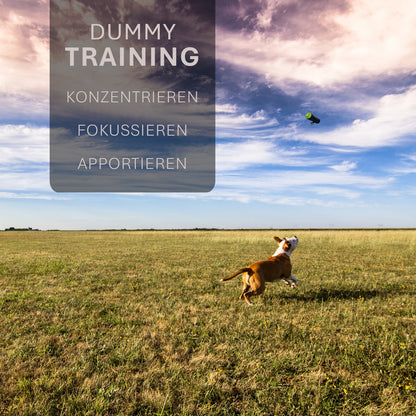 ASCO Hundedummy – Apportier- und Snack-Dummy (21x7 cm)