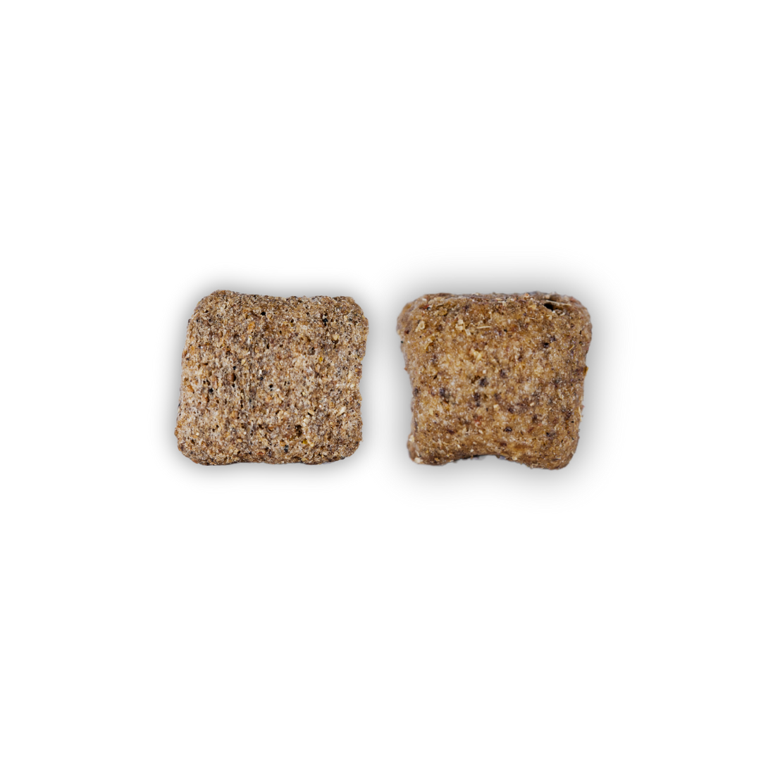 MyPetClub Insekten