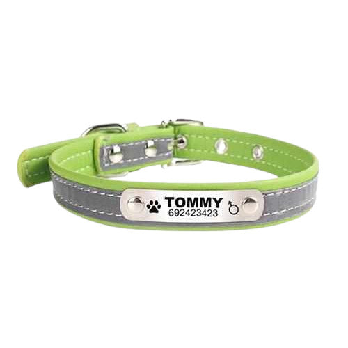 Hundehalsband mit Namen und Telefon graviert. Reflektierend