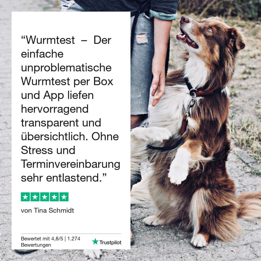Durchfalltest Hund