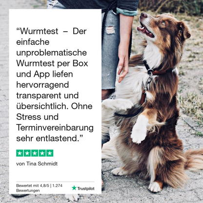 Durchfalltest Hund