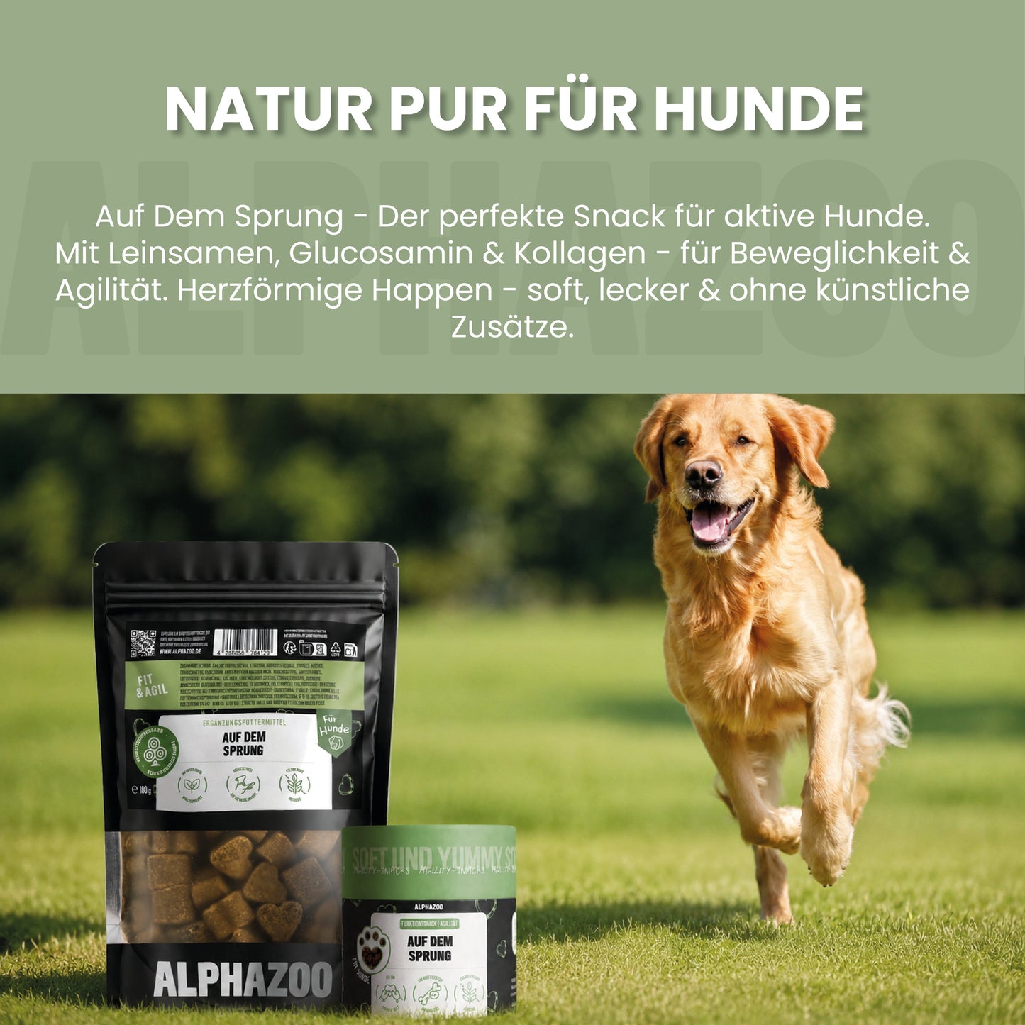 Auf Dem Sprung