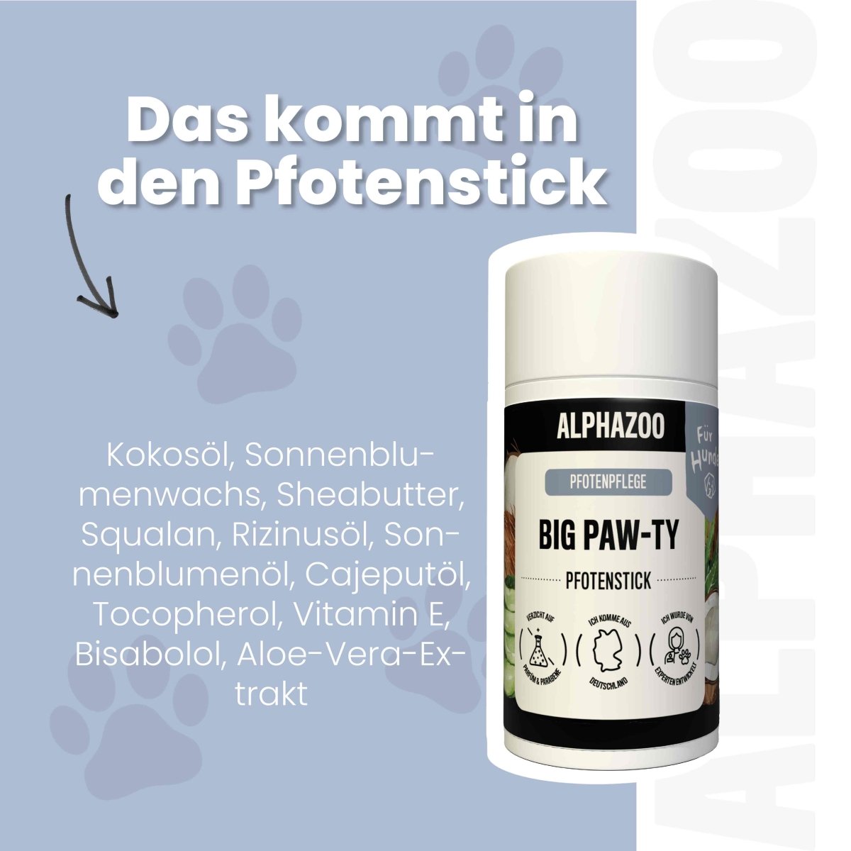 Big Paw-ty Pfotenpflege für Hunde