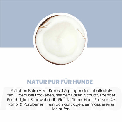 Big Paw-ty Pfotenpflege für Hunde