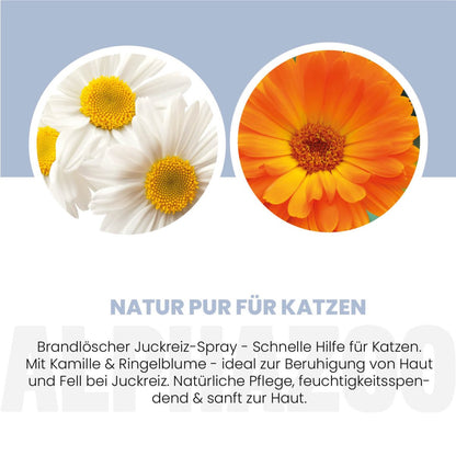 Brandlöscher Anti Juckreiz Spray für Katzen