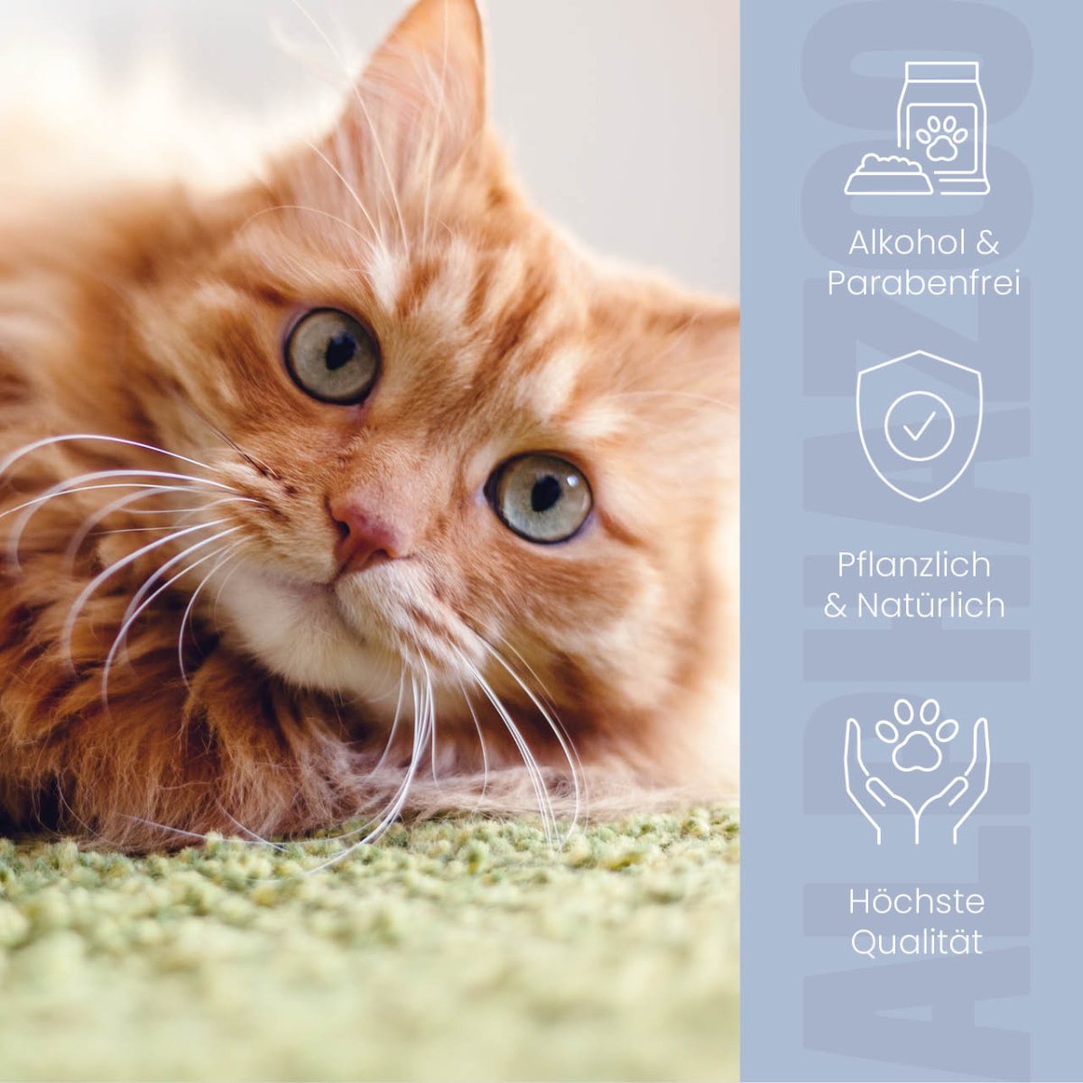 Brandlöscher Anti Juckreiz Spray für Katzen