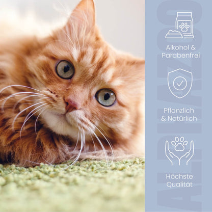 Brandlöscher Anti Juckreiz Spray für Katzen