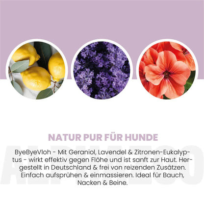 ByeByeVloh Spot-On für Hunde