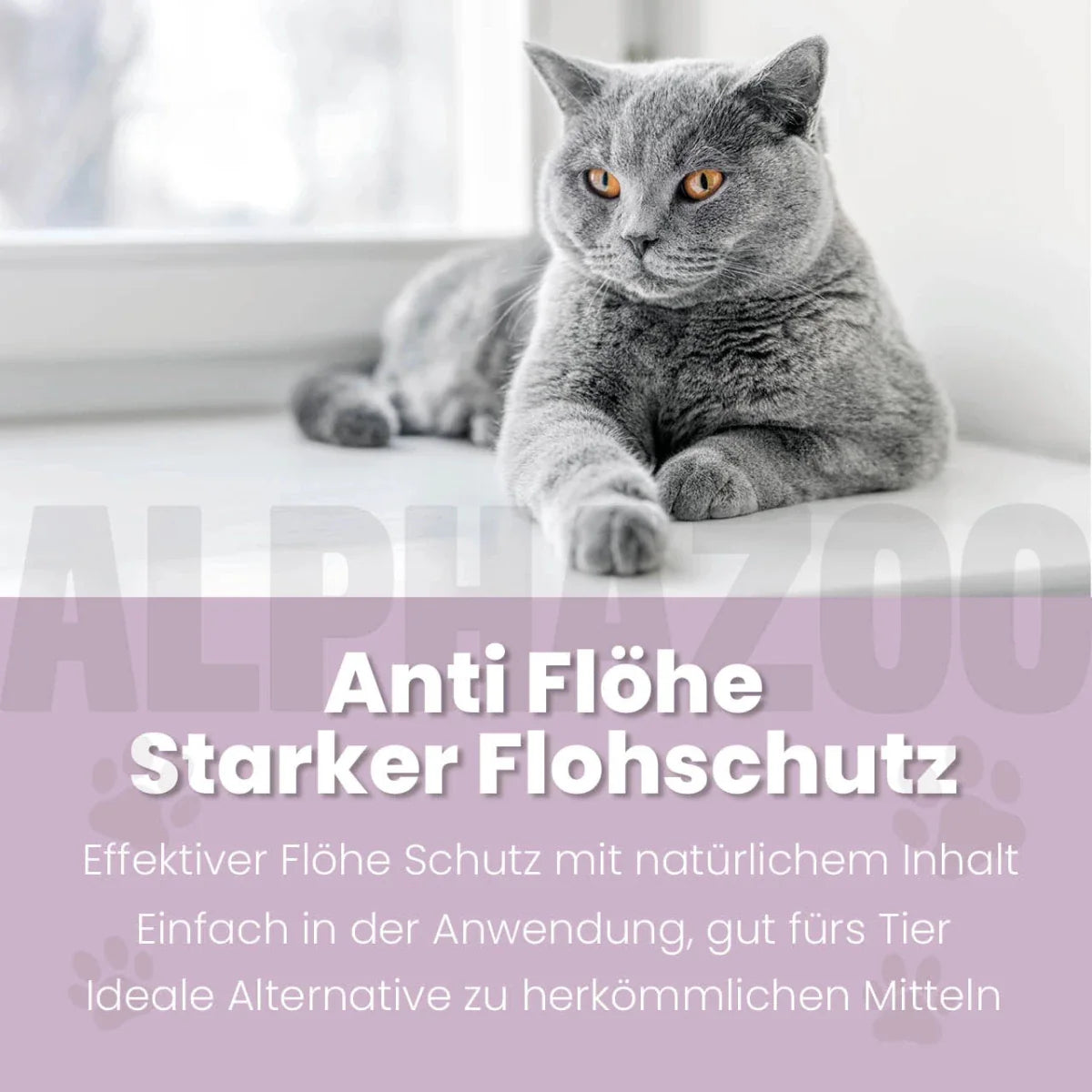 ByeByeVloh Spot-On für Katze