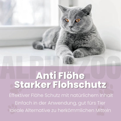 ByeByeVloh Spot-On für Katze