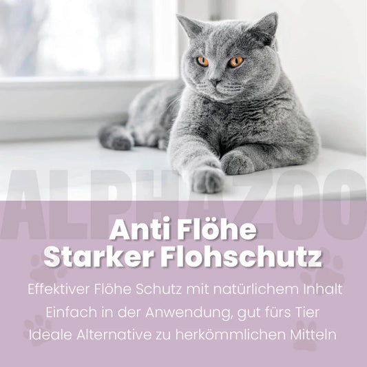 ByeByeVloh Spot-On für Katze