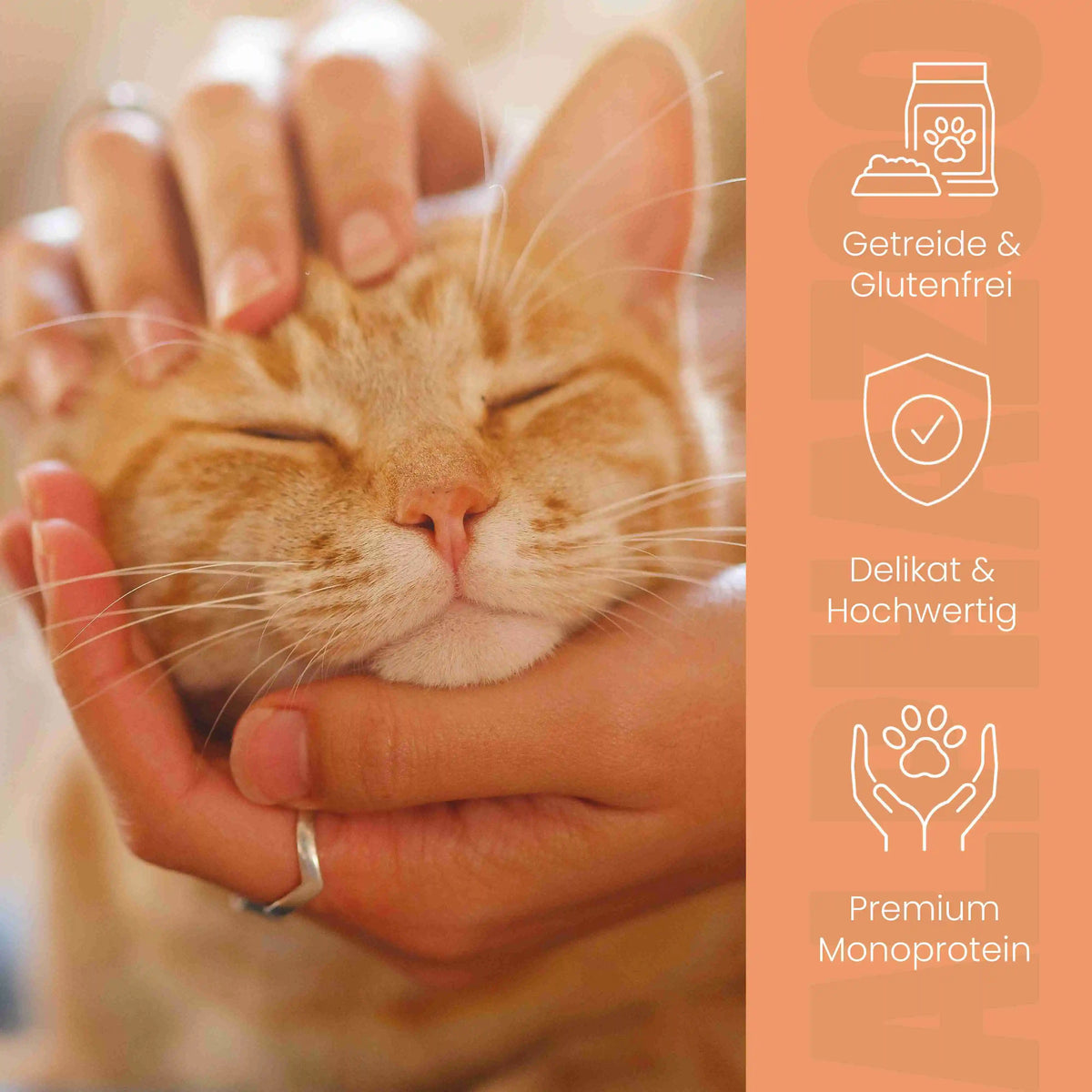 Monoprotein Huhn Nassfutter für Katze