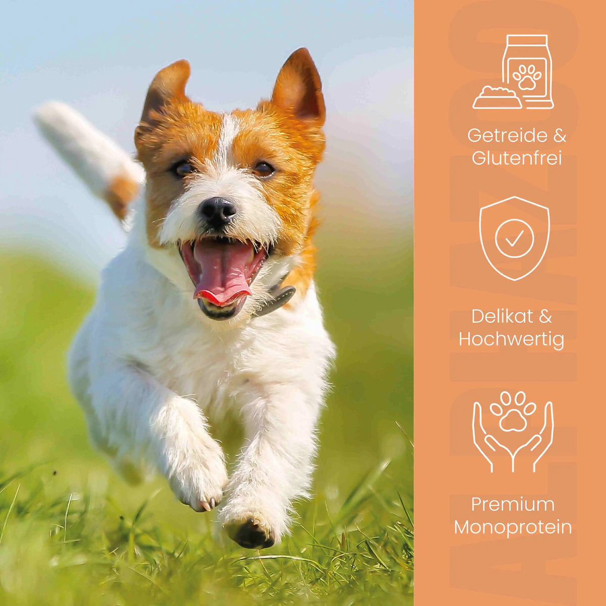 Kaninchen + Kalb Nassfutter für Senior Hunde
