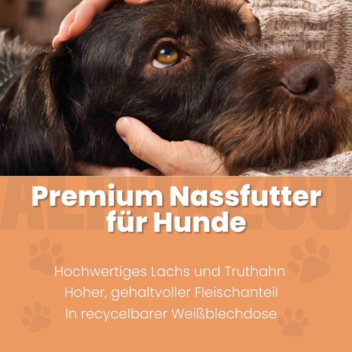 Lachs + Truthahn Nassfutter für Adult Hunde
