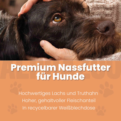 Lachs + Truthahn Nassfutter für Adult Hunde