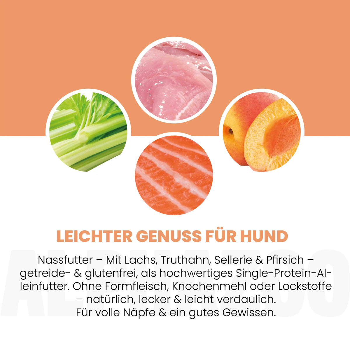 Lachs + Truthahn Nassfutter für Adult Hunde