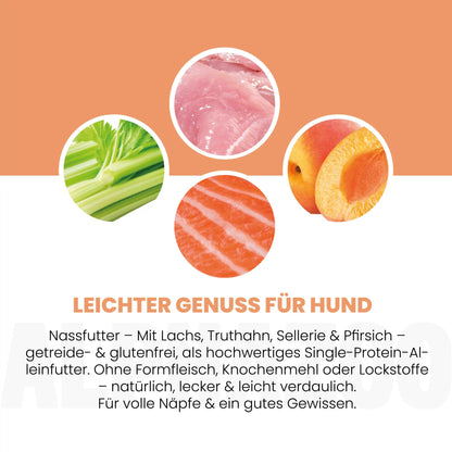 Lachs + Truthahn Nassfutter für Adult Hunde