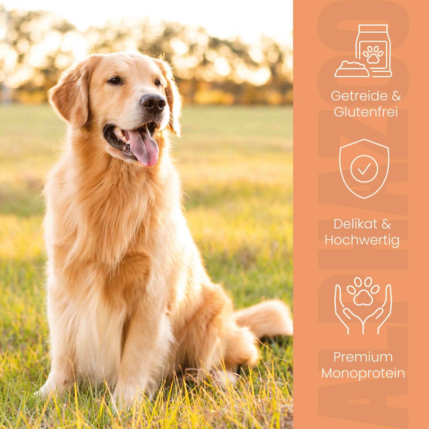 Wild + Rind Nassfutter für Adult Hunde