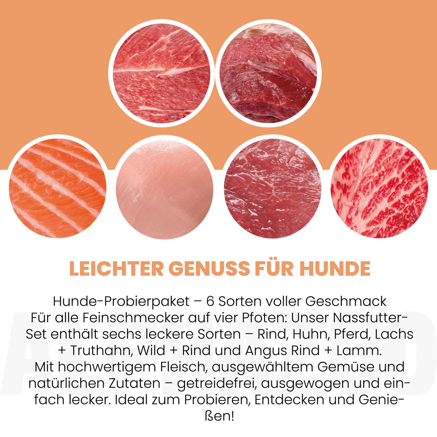 Probierschmaus Hund